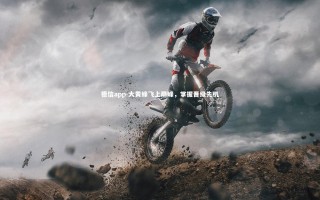 德信app-大黄蜂飞上巅峰，掌握晋级先机