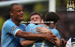 德信app-足球比赛现场精彩：球队齐心协力争胜