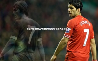 德信app-热刺主场力克斯托克城 稳固英超前四席位