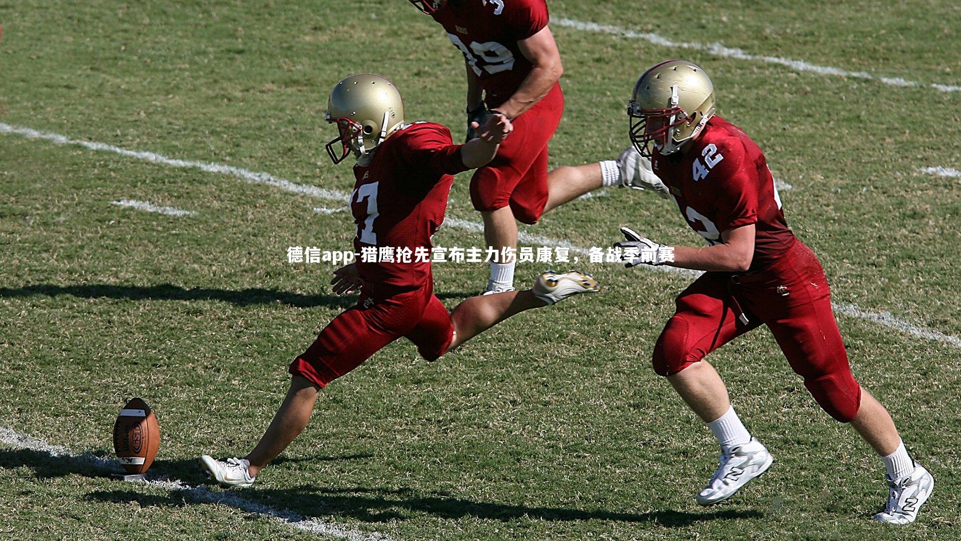 德信app-猎鹰抢先宣布主力伤员康复，备战季前赛-第2张图片-德信app