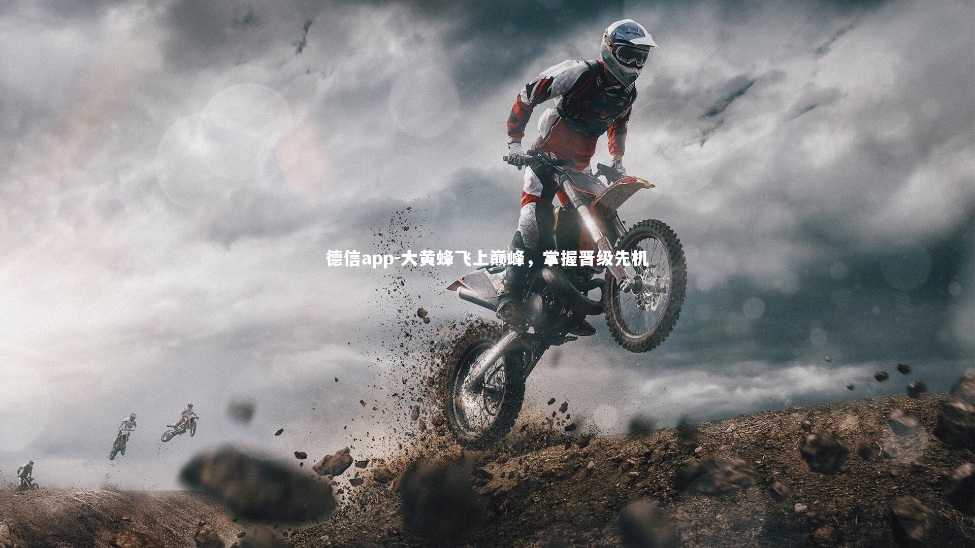 德信app-大黄蜂飞上巅峰，掌握晋级先机-第1张图片-德信app