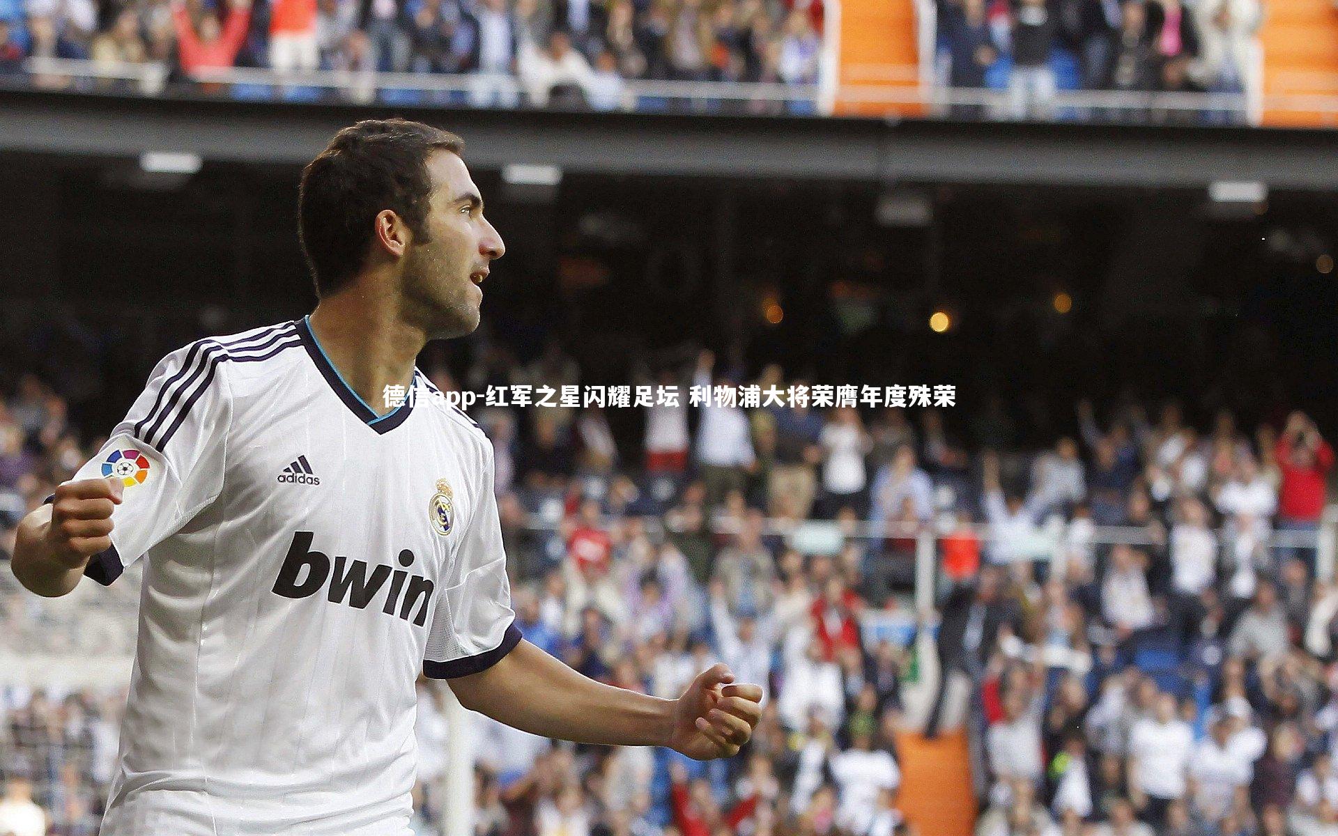 德信app-红军之星闪耀足坛 利物浦大将荣膺年度殊荣-第2张图片-德信app